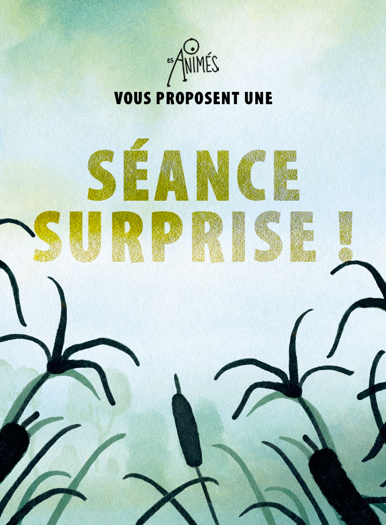 Affiche seance surprise