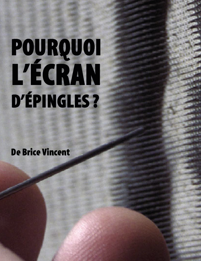 Brice vincent visuel